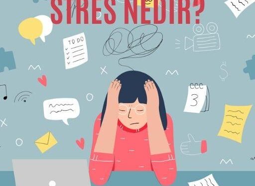 STRES NEDİR ?