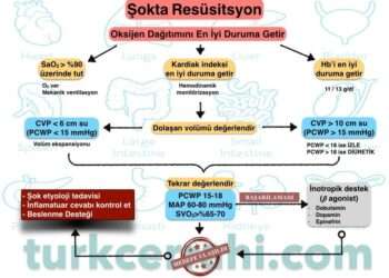Sepsis / Şok ve Tedavisi